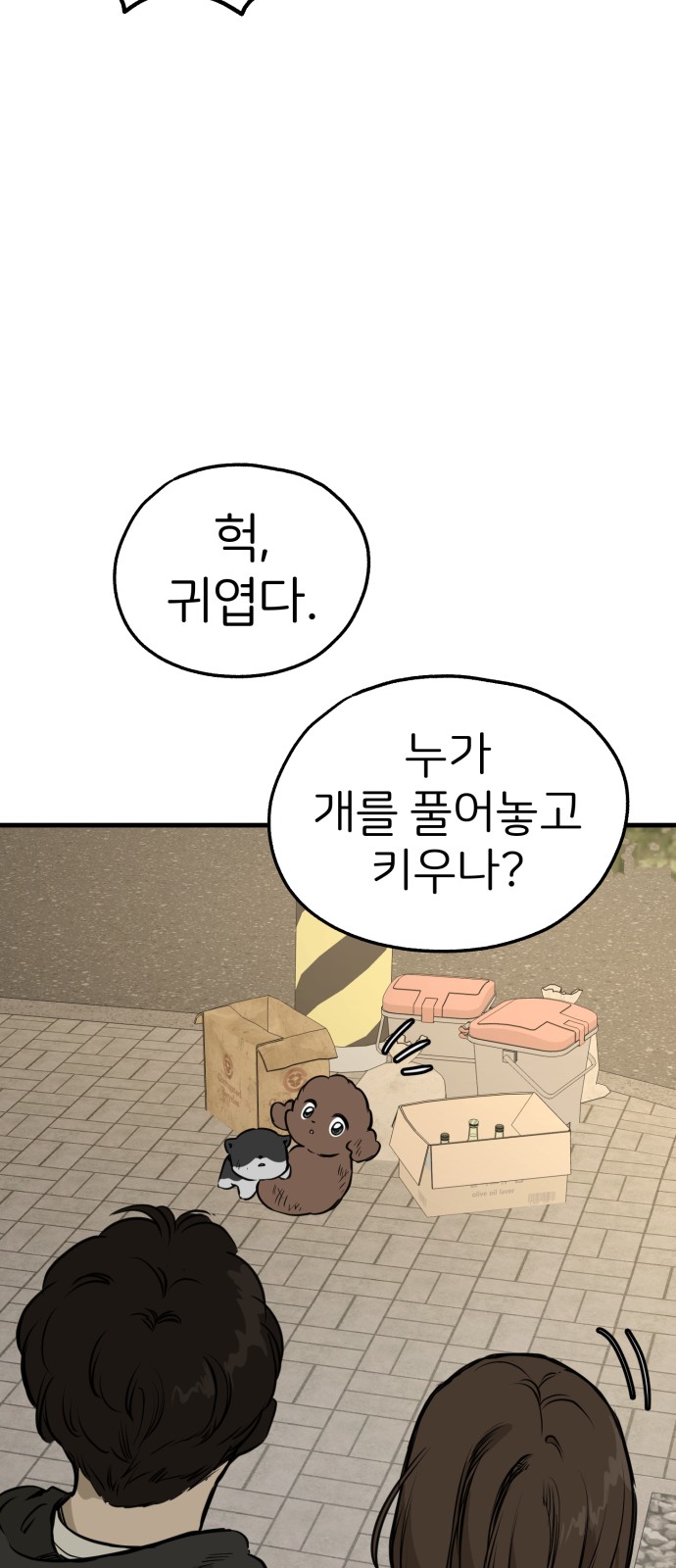 50 페이지