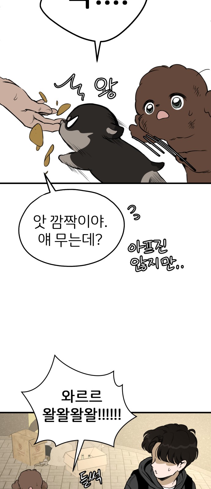 53 페이지