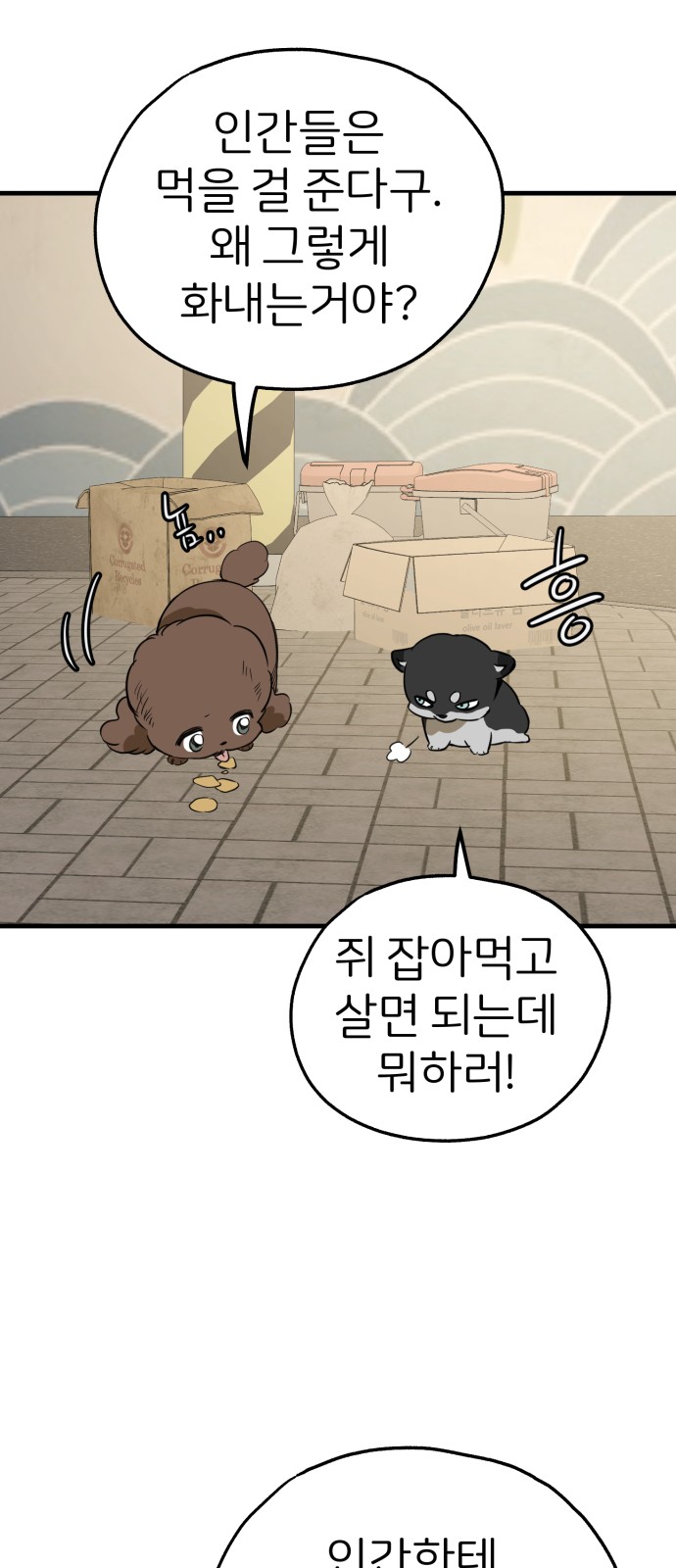 55 페이지