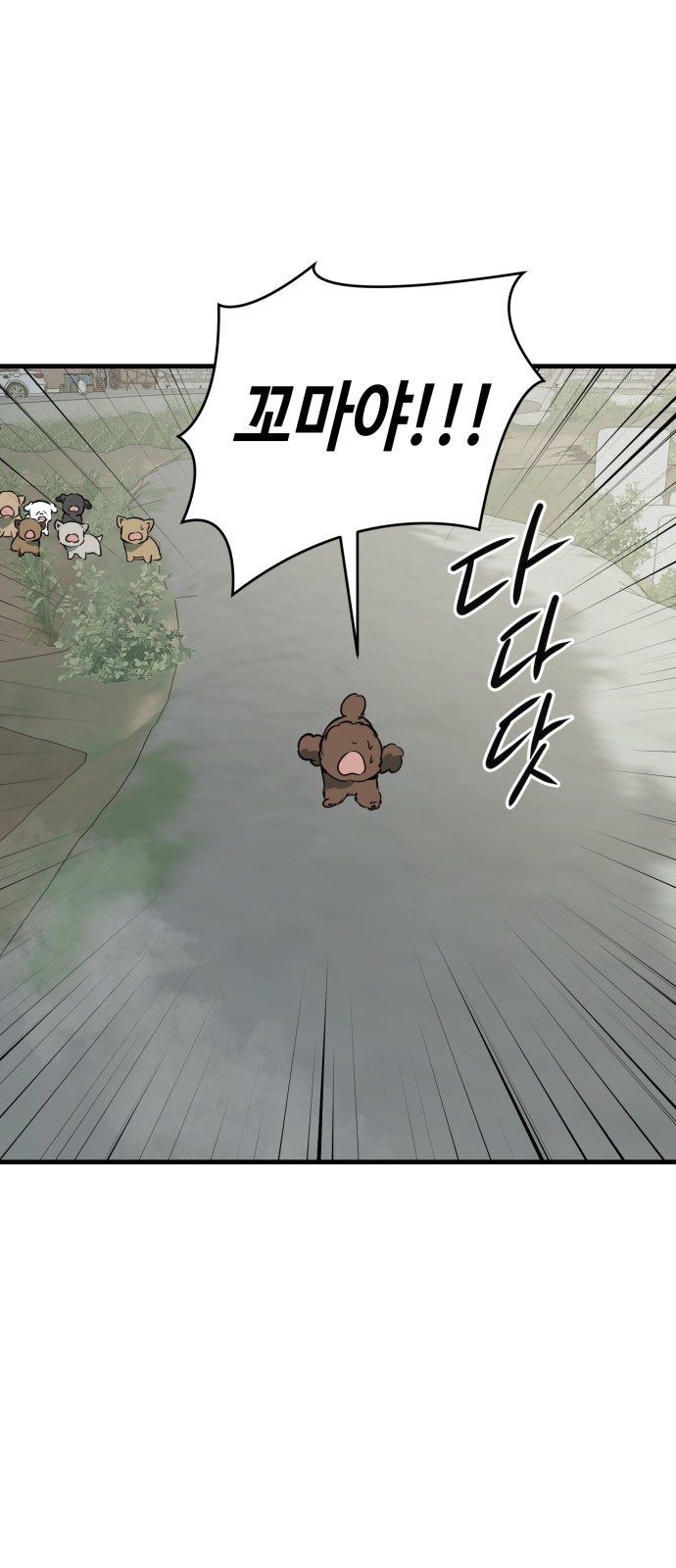 20 페이지