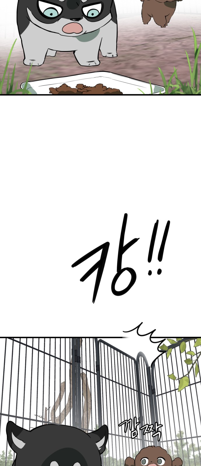 74 페이지