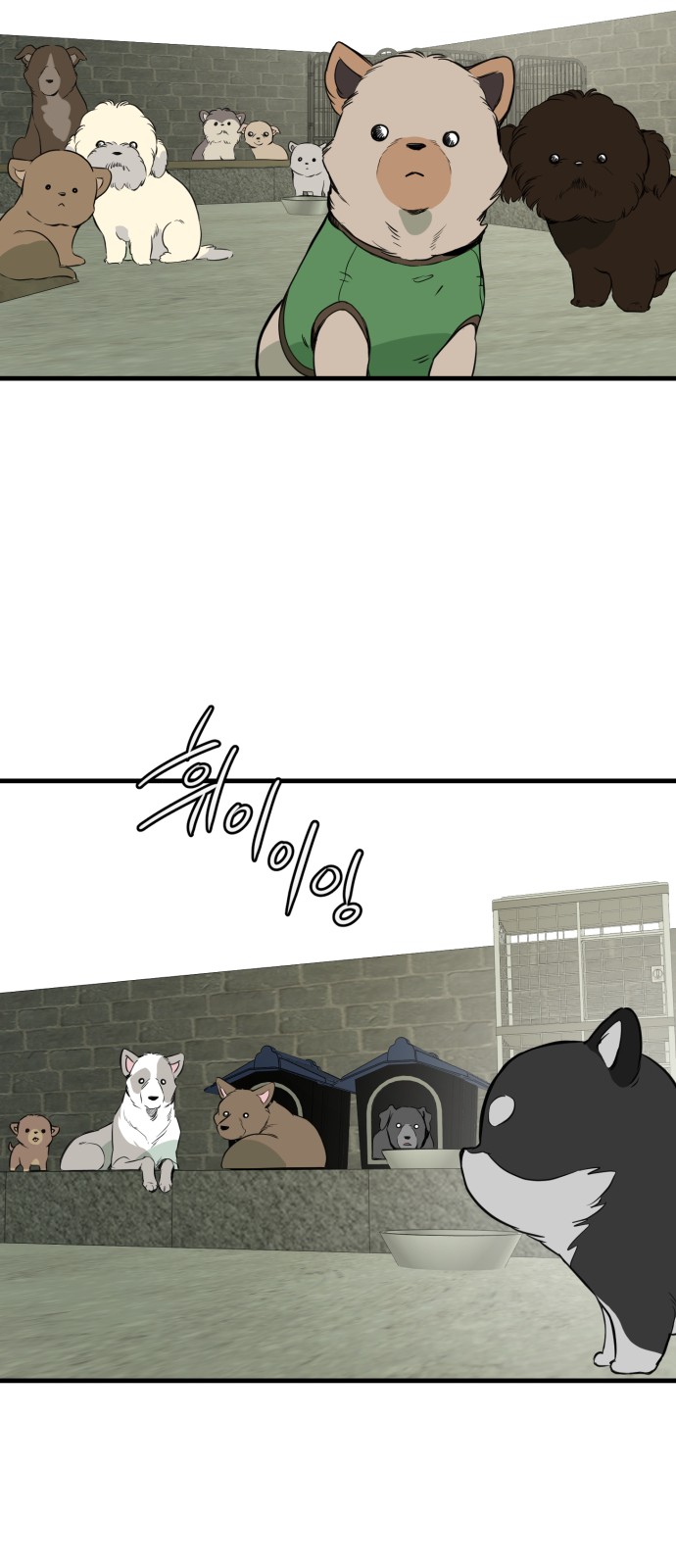81 페이지