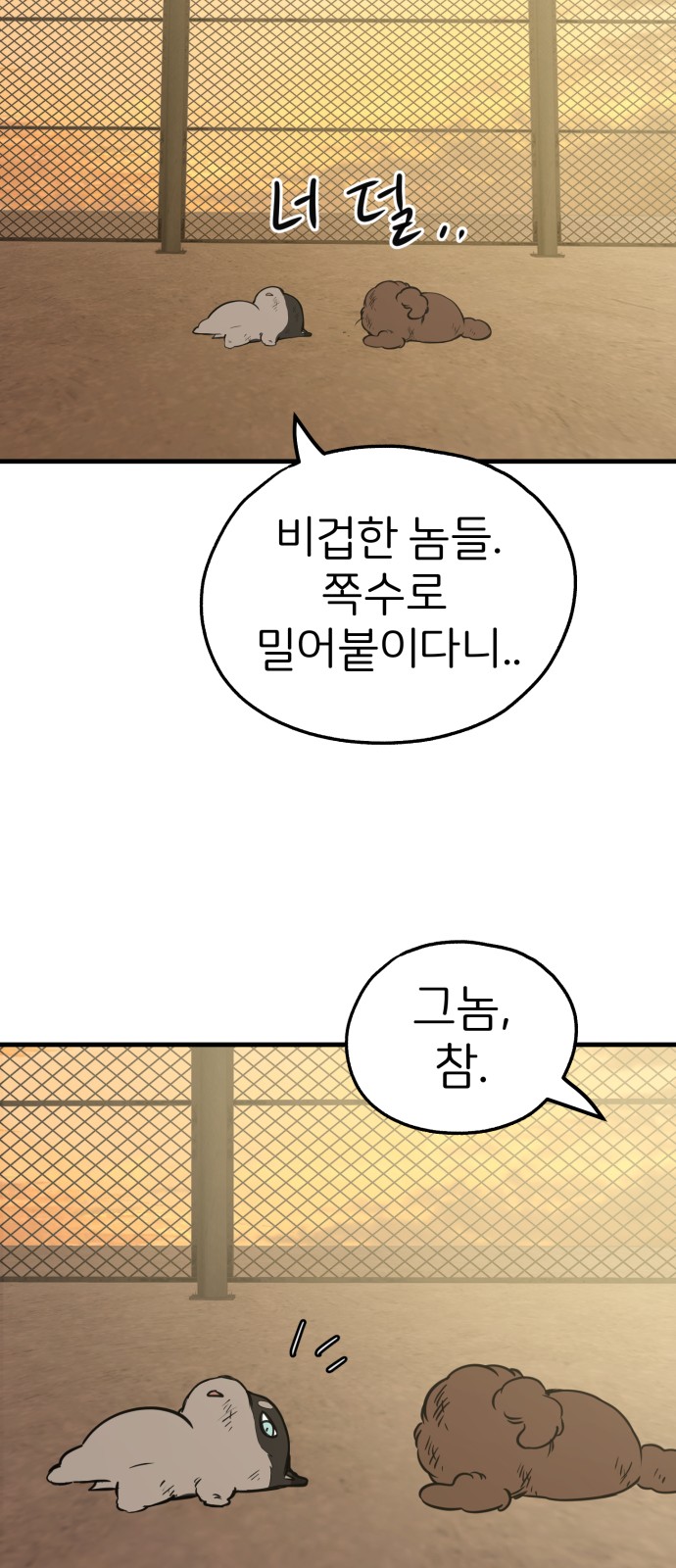 11 페이지