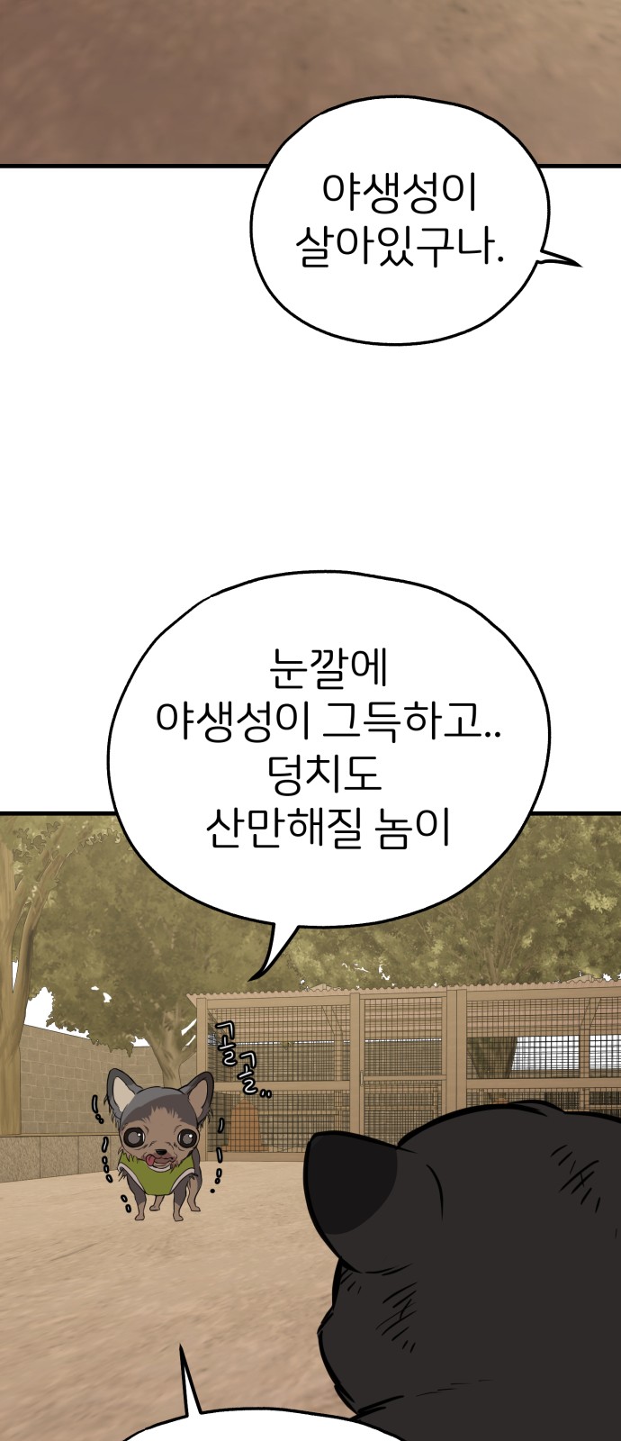 12 페이지