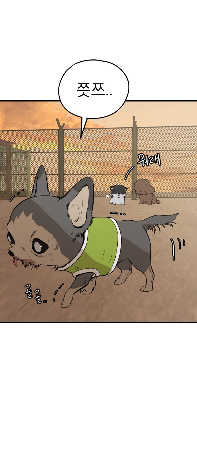 15 페이지