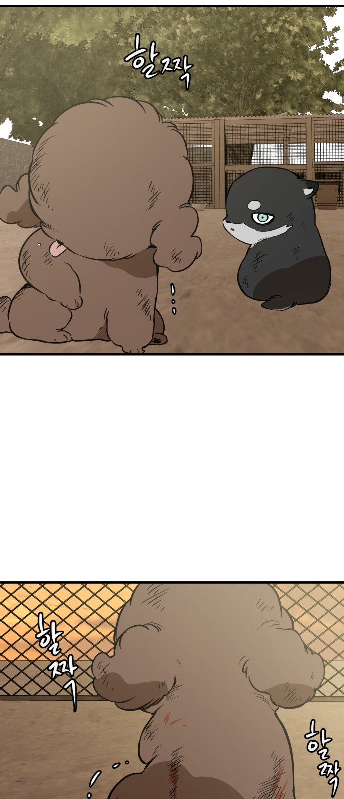 17 페이지