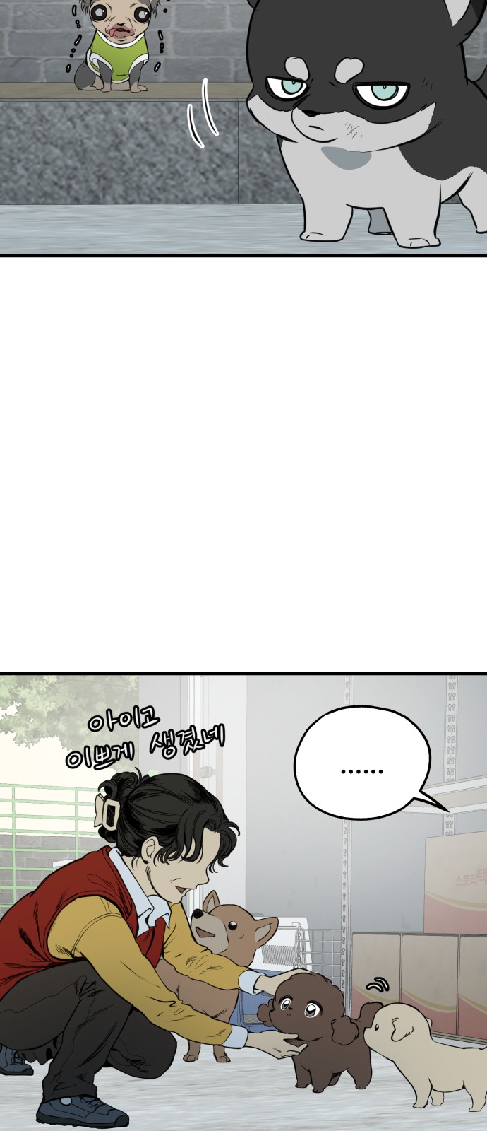 36 페이지