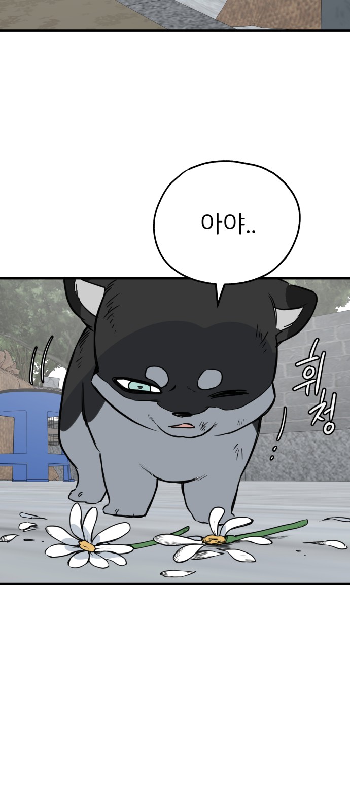 63 페이지