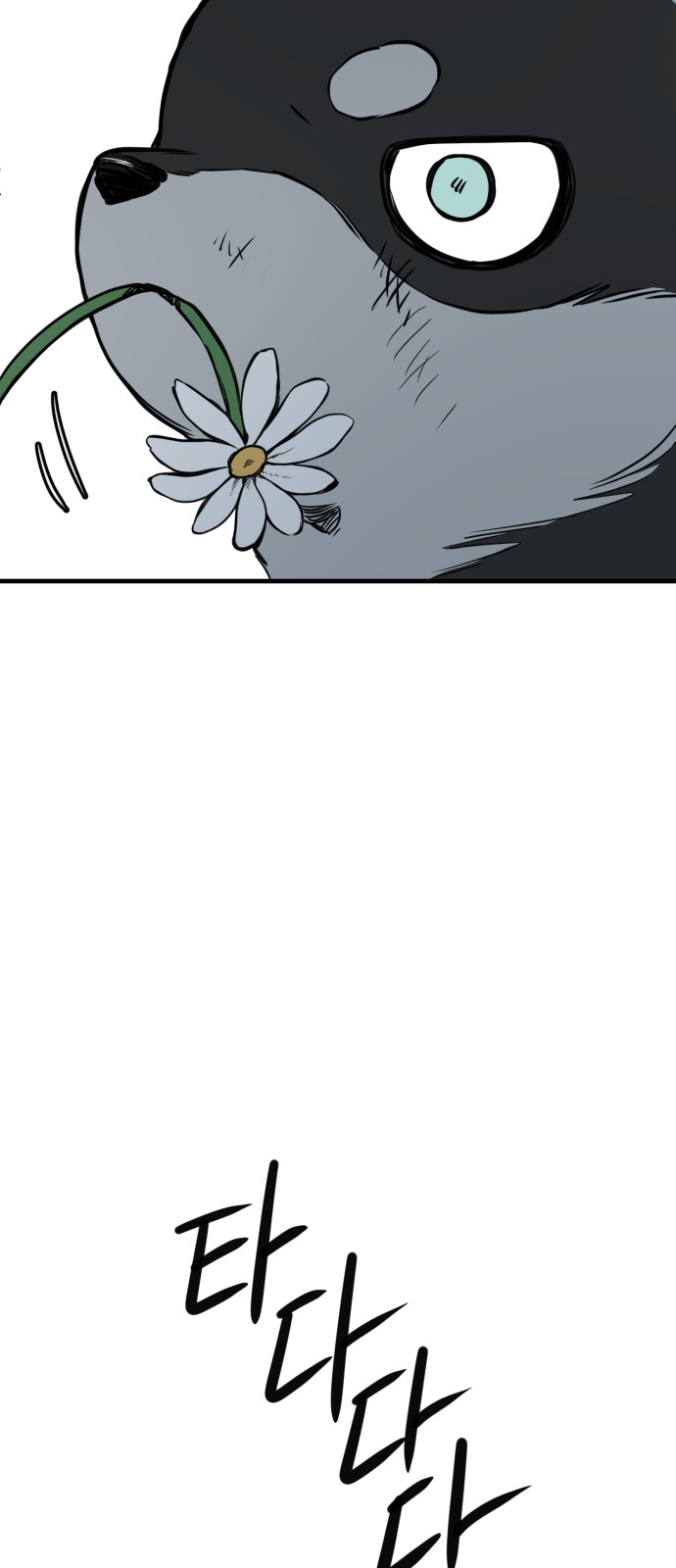 66 페이지