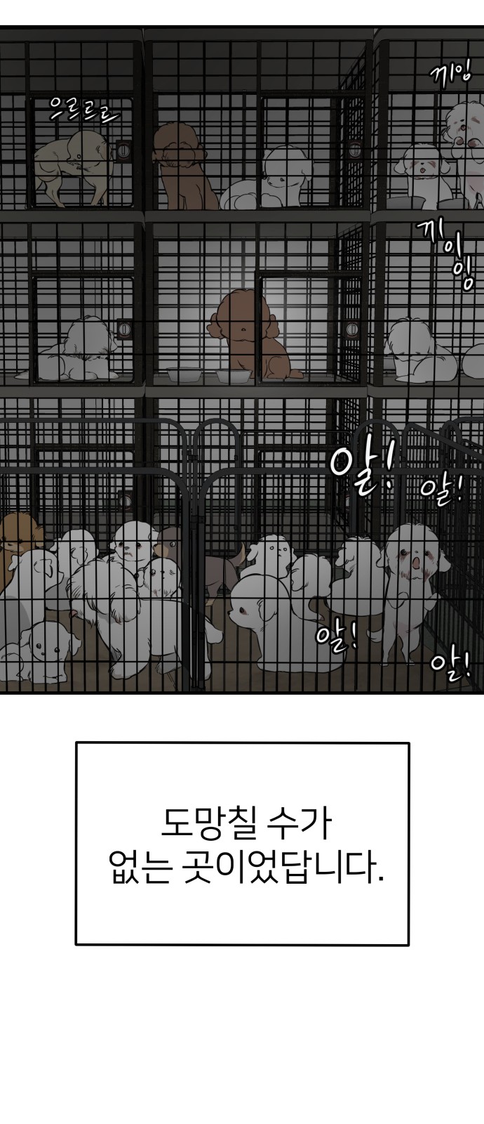 84 페이지