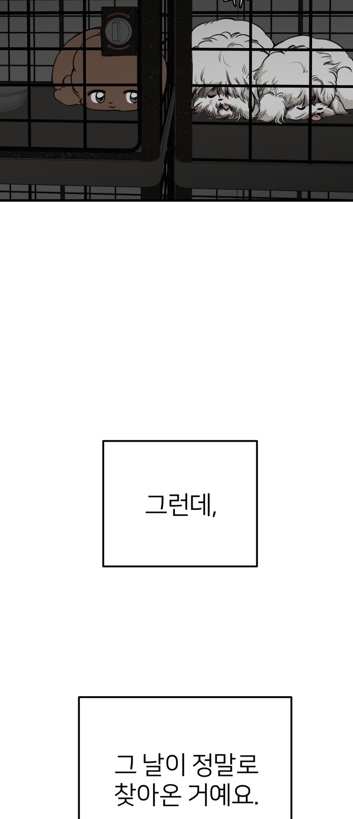 20 페이지