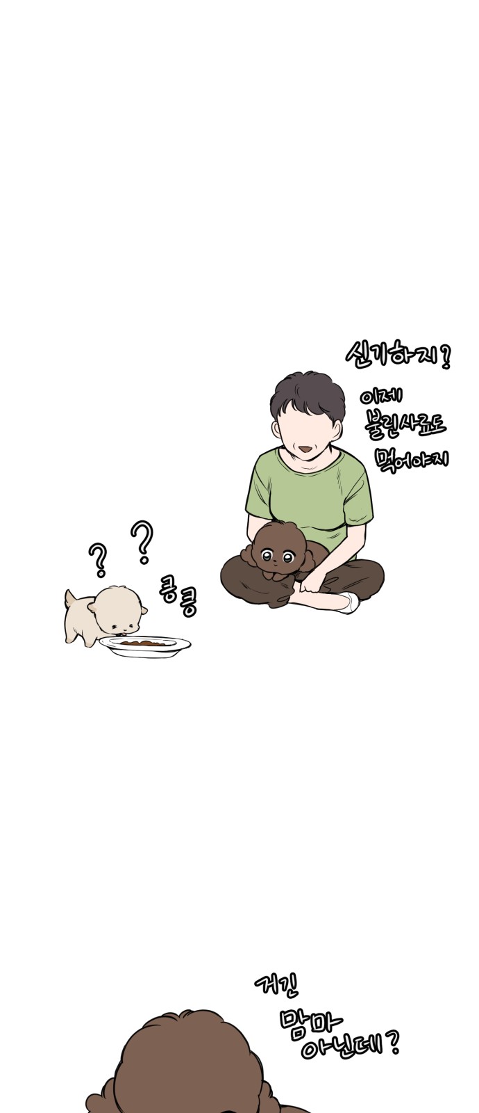 55 페이지
