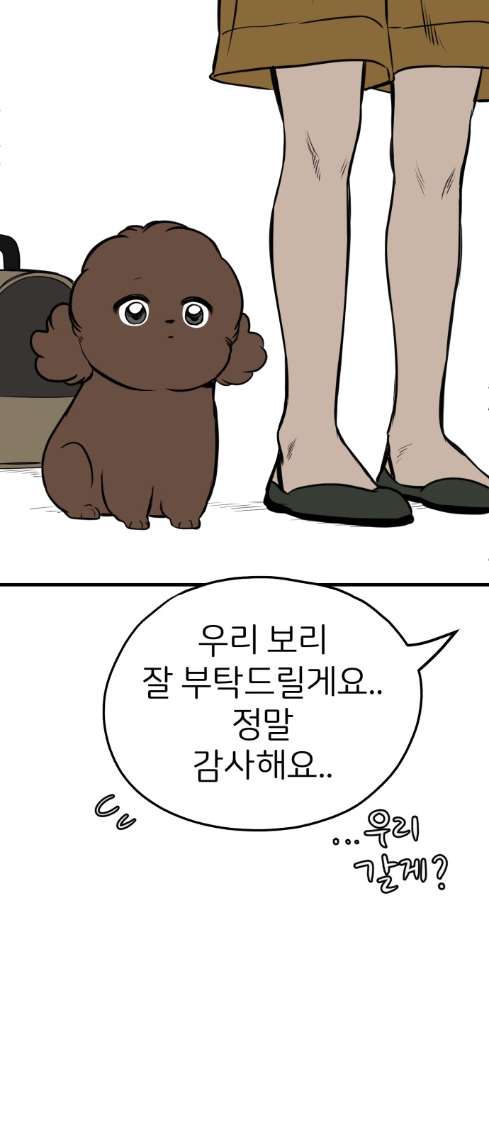 41 페이지