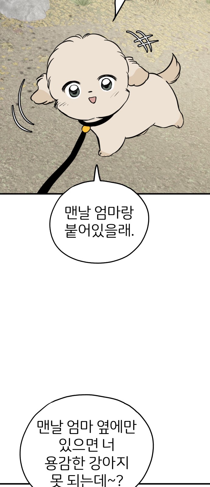 5 페이지