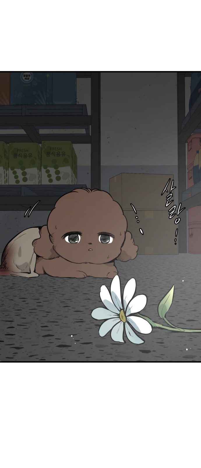 46 페이지