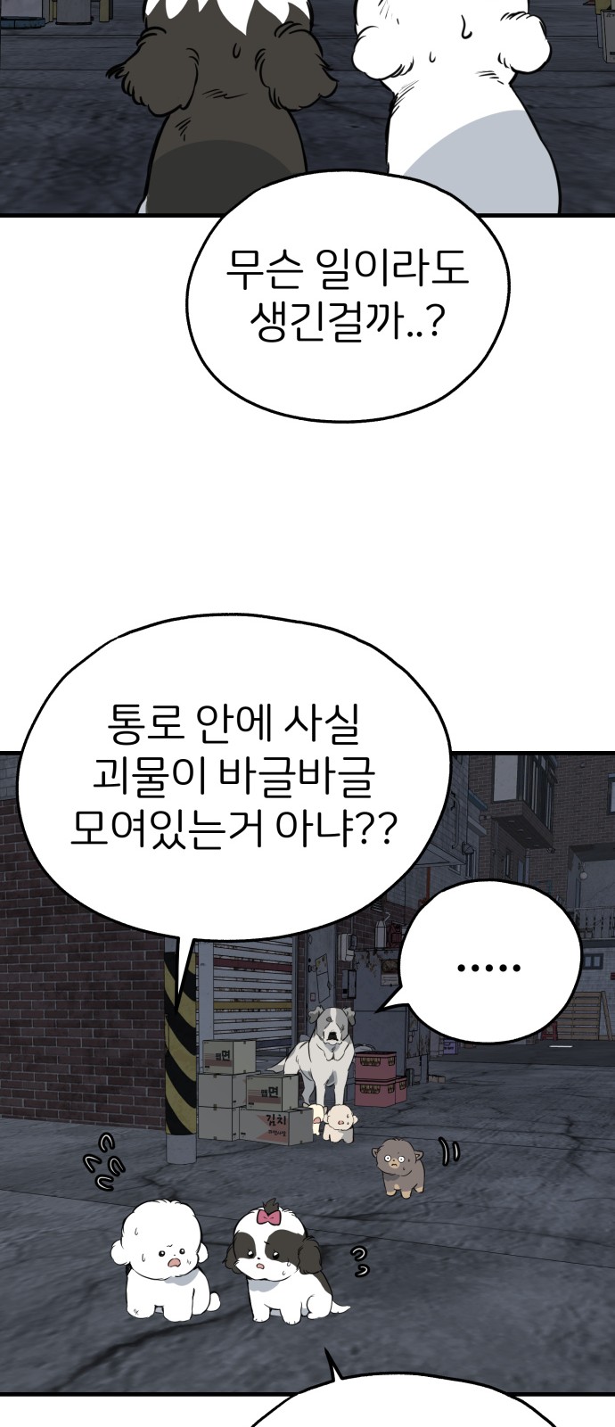 61 페이지