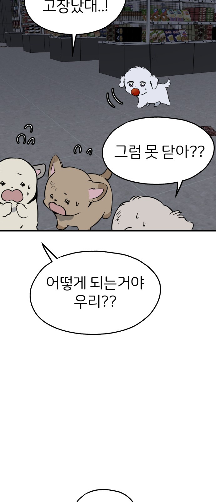 67 페이지