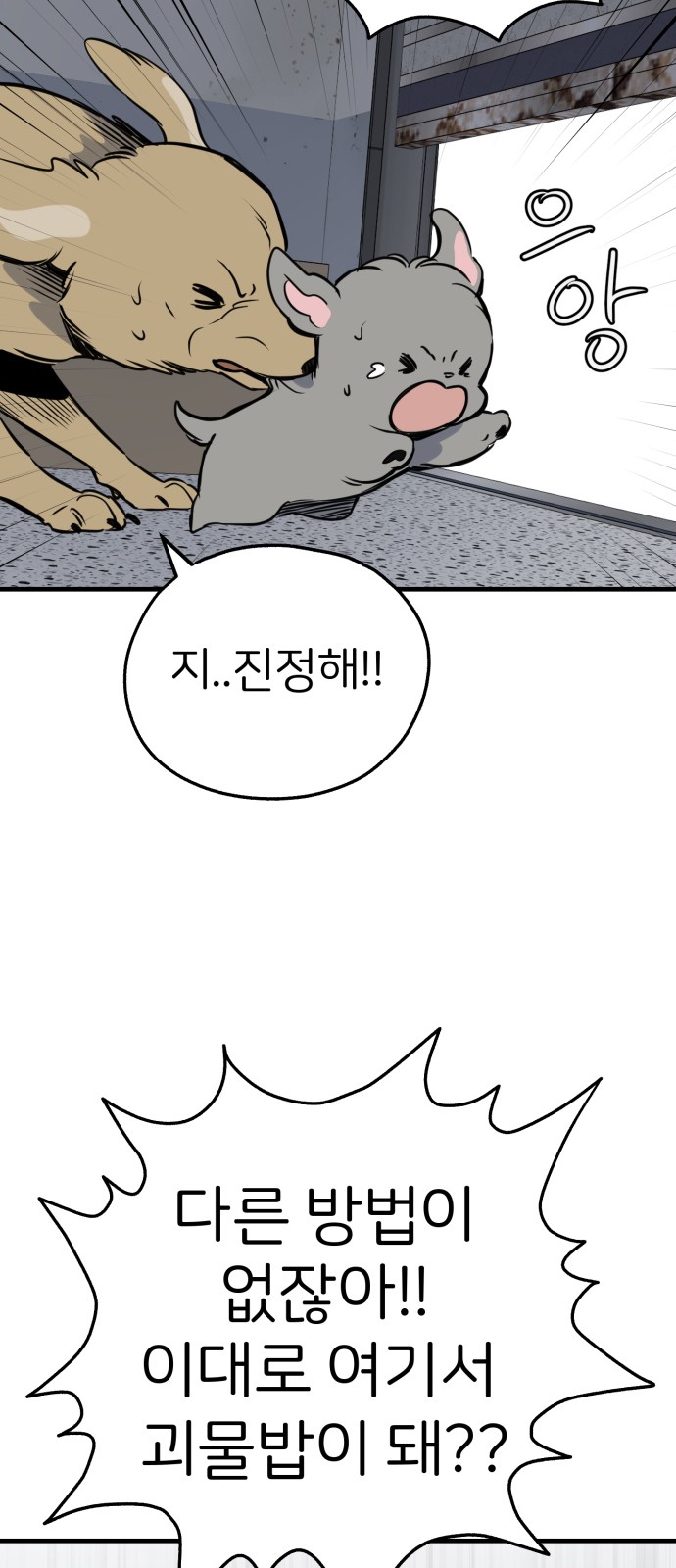 71 페이지
