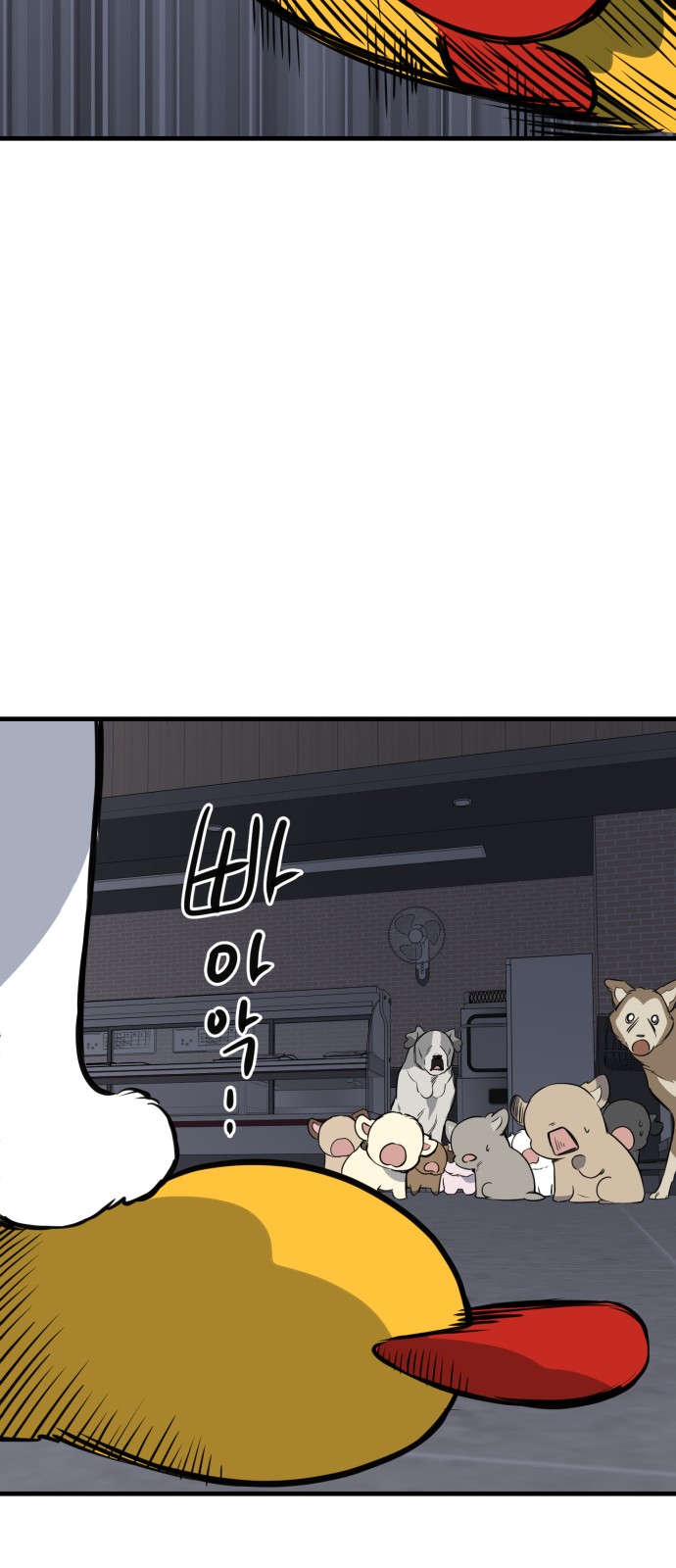 75 페이지
