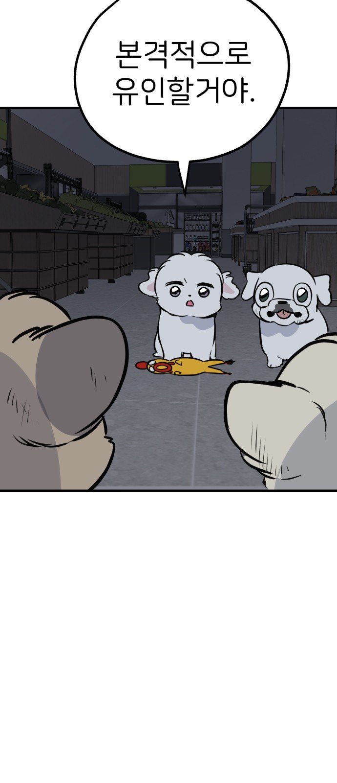 41 페이지