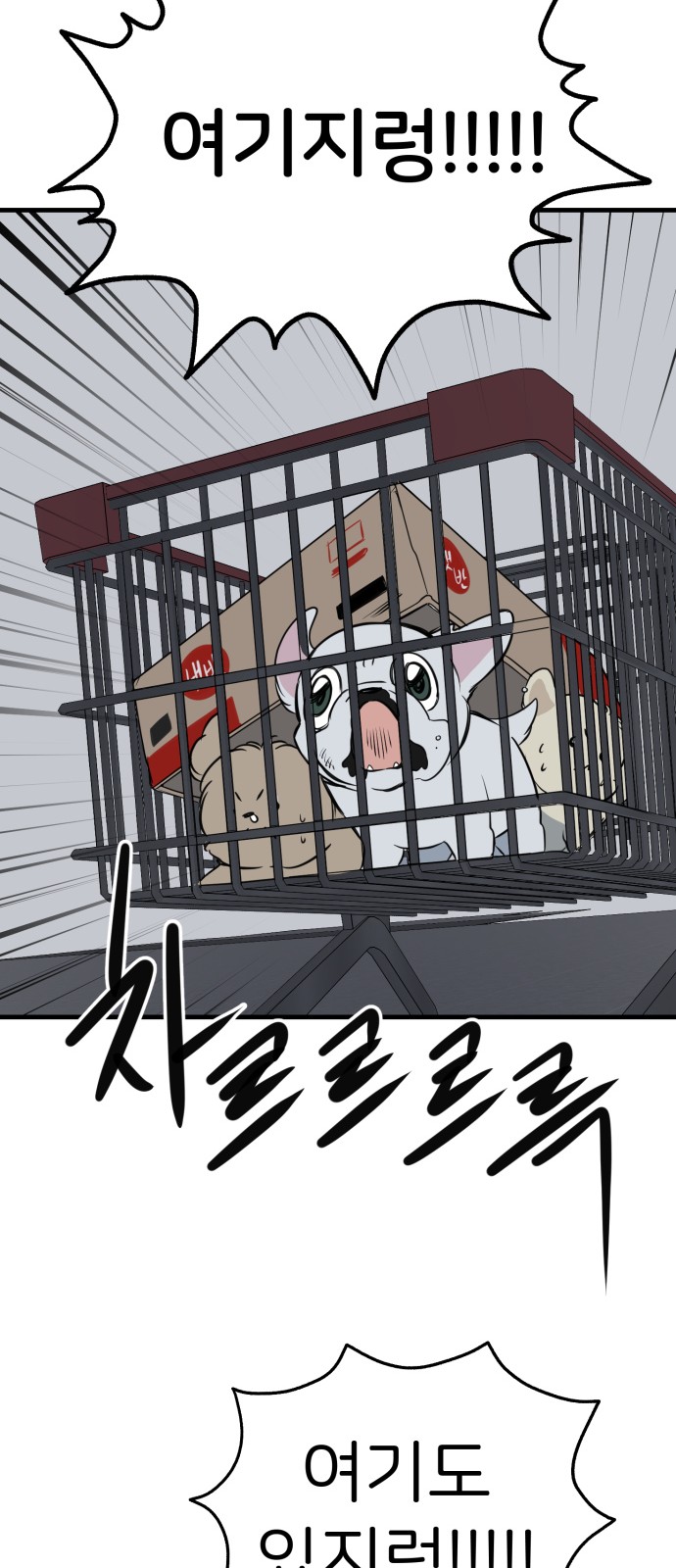 43 페이지