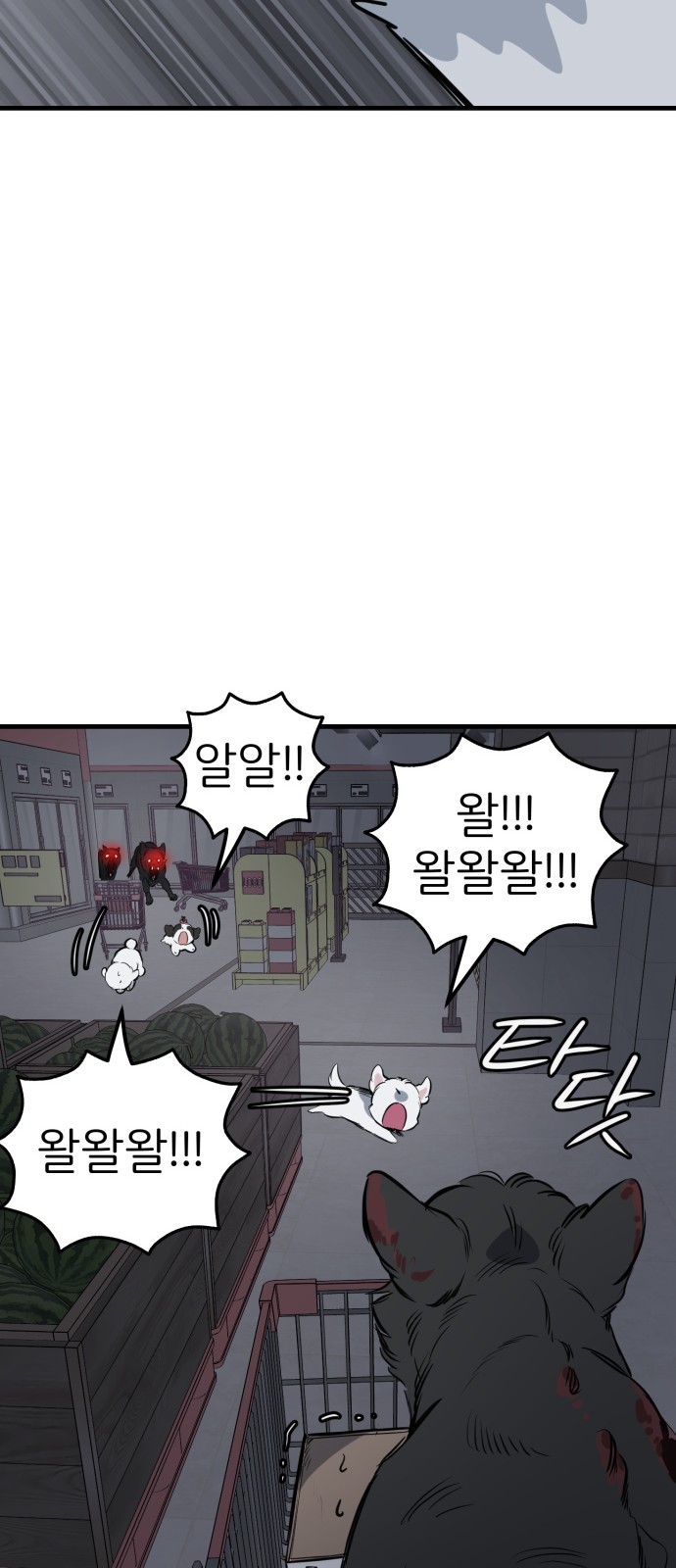 50 페이지