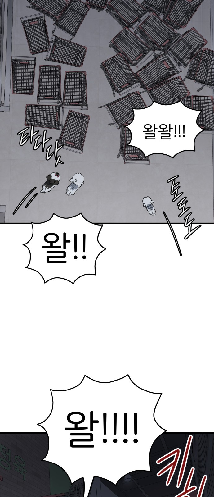 53 페이지