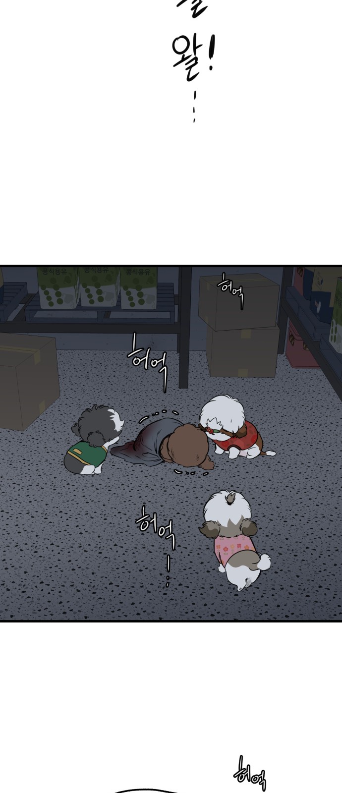 45 페이지