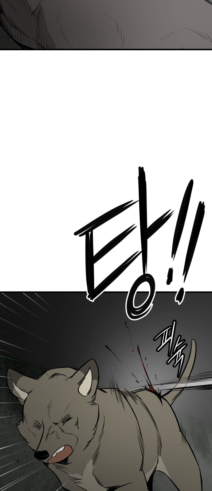 41 페이지