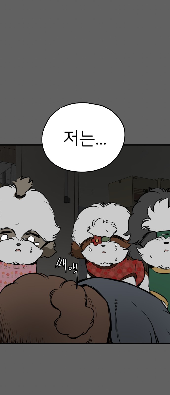 37 페이지