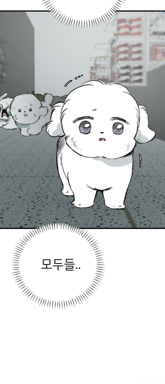 41 페이지