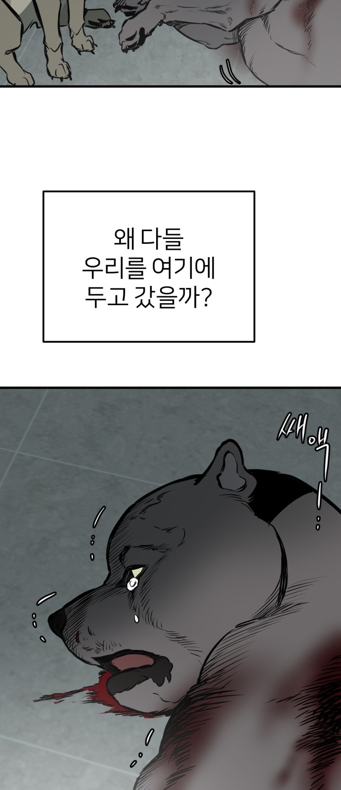 51 페이지
