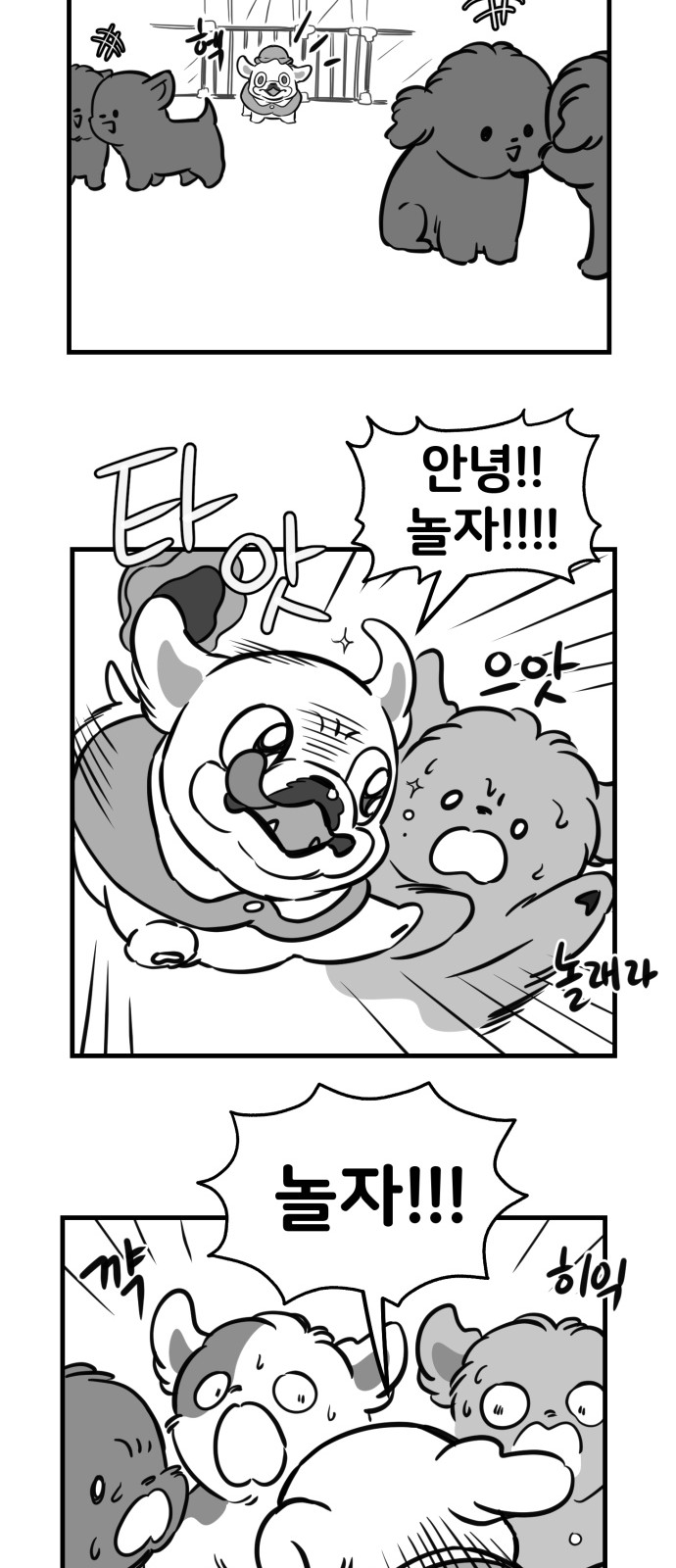 17 페이지