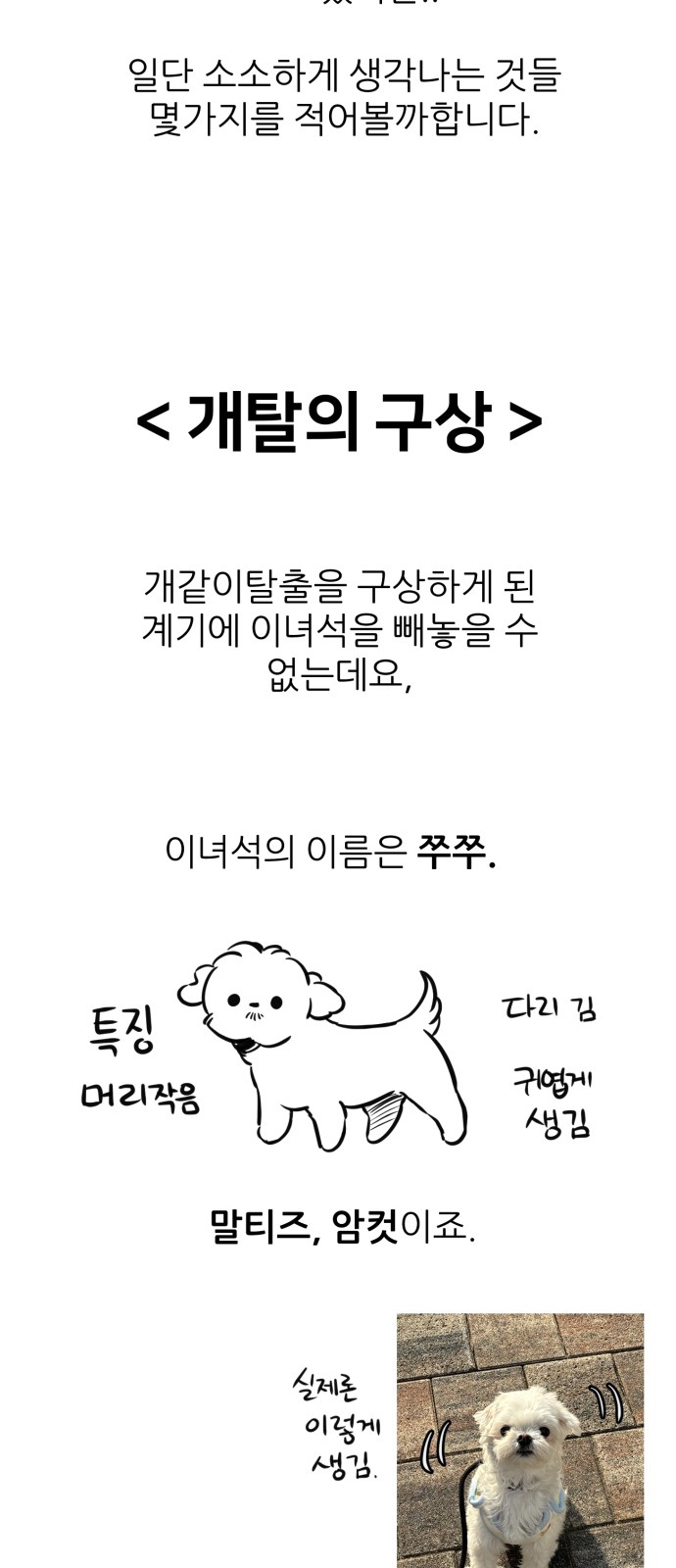 4 페이지