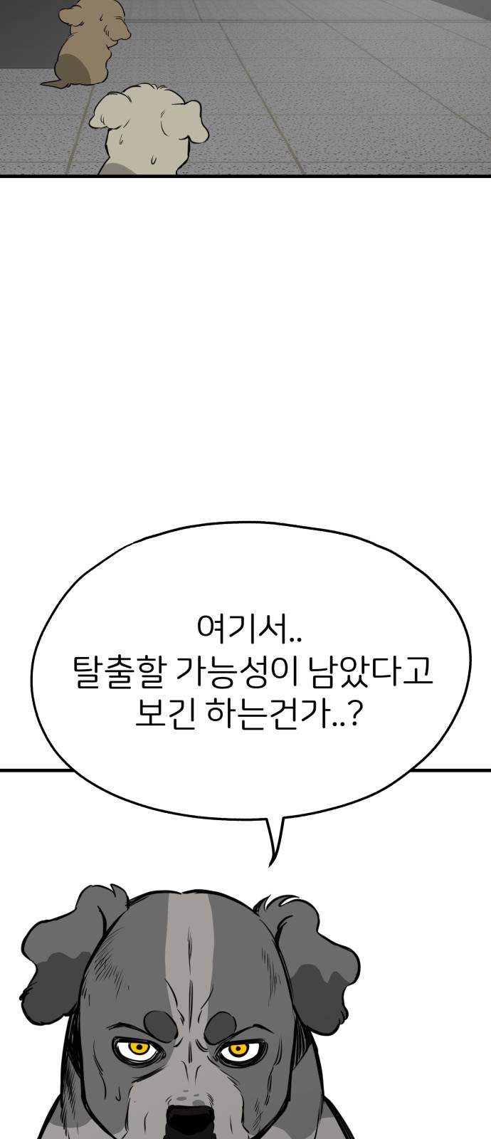 64 페이지