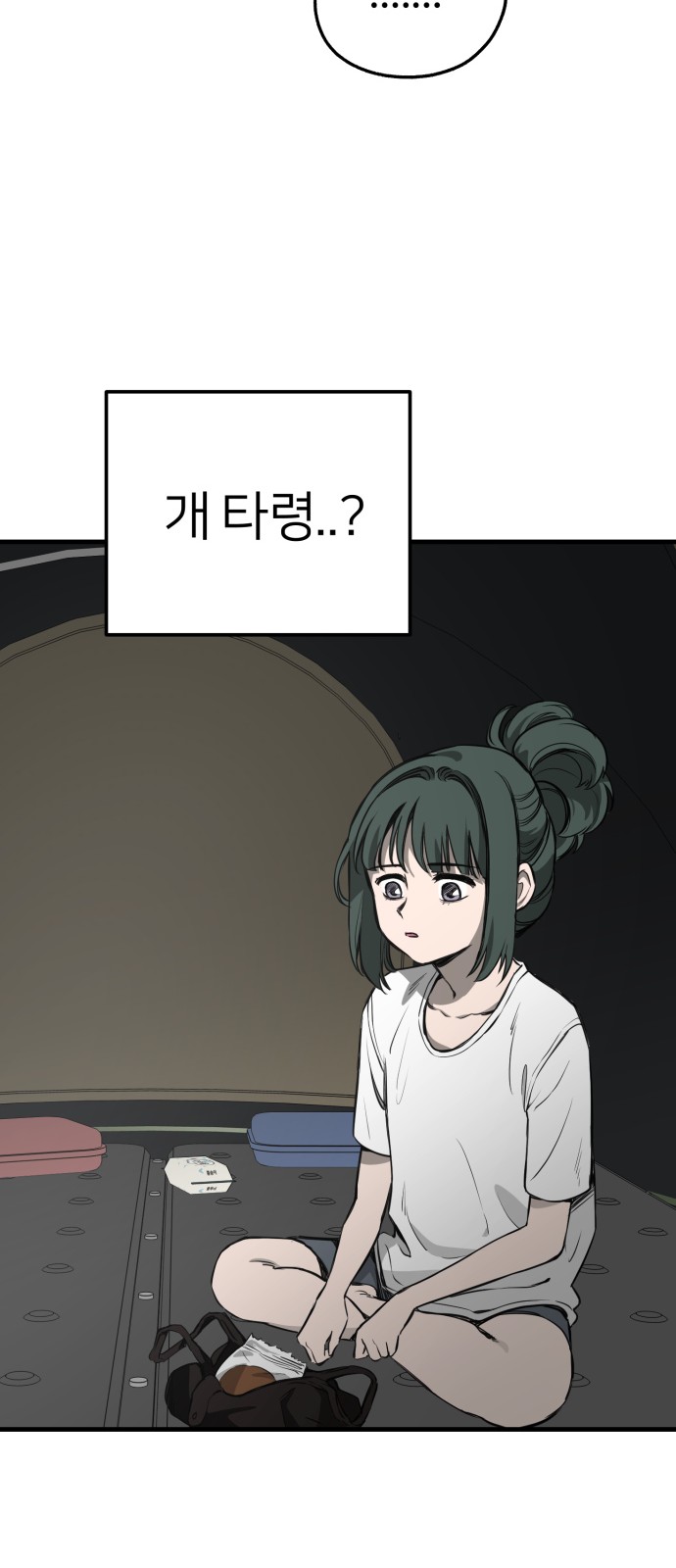 86 페이지