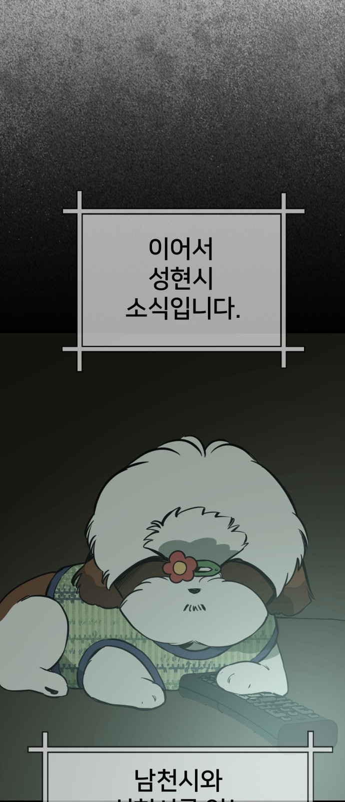 37 페이지