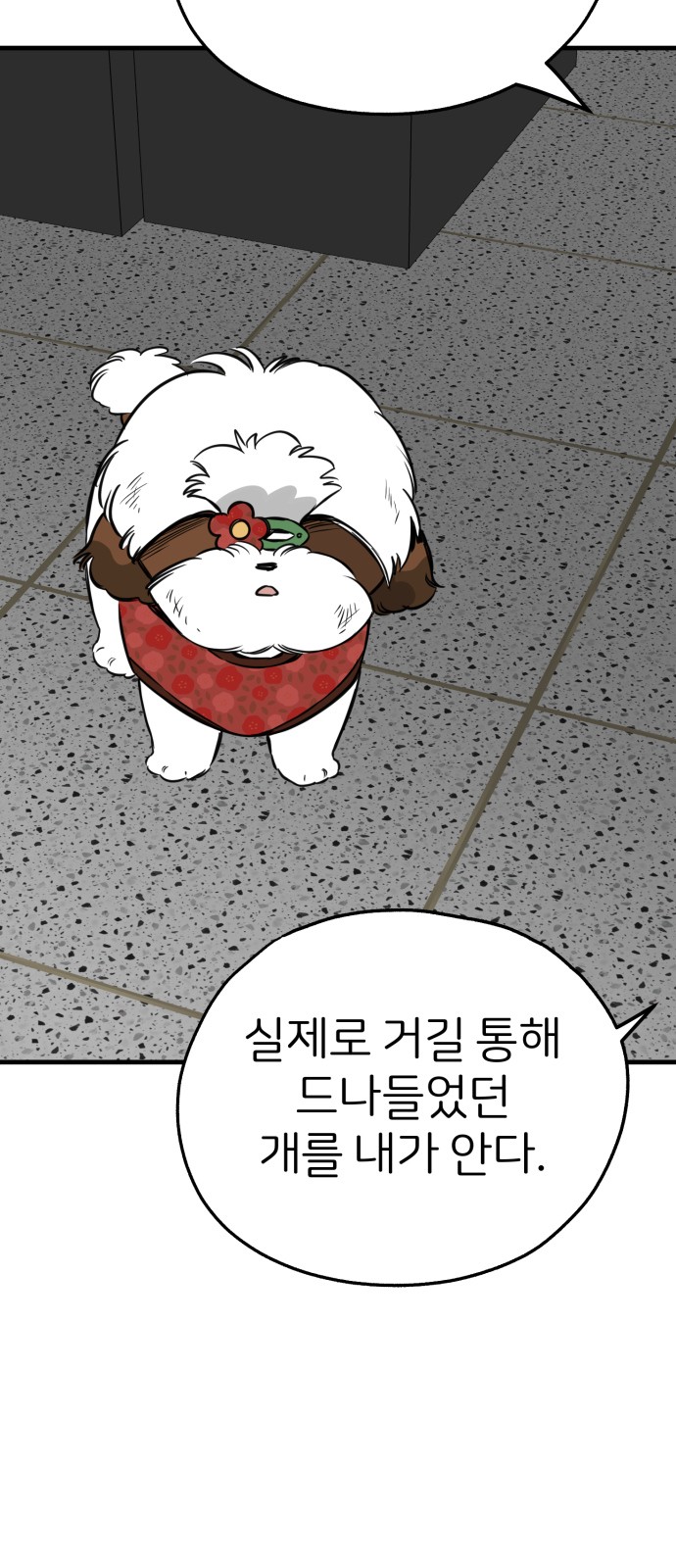 43 페이지