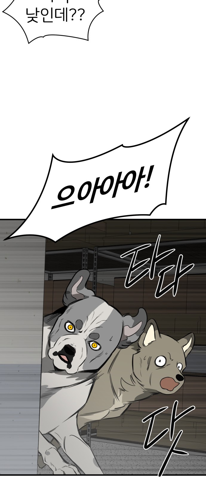 49 페이지
