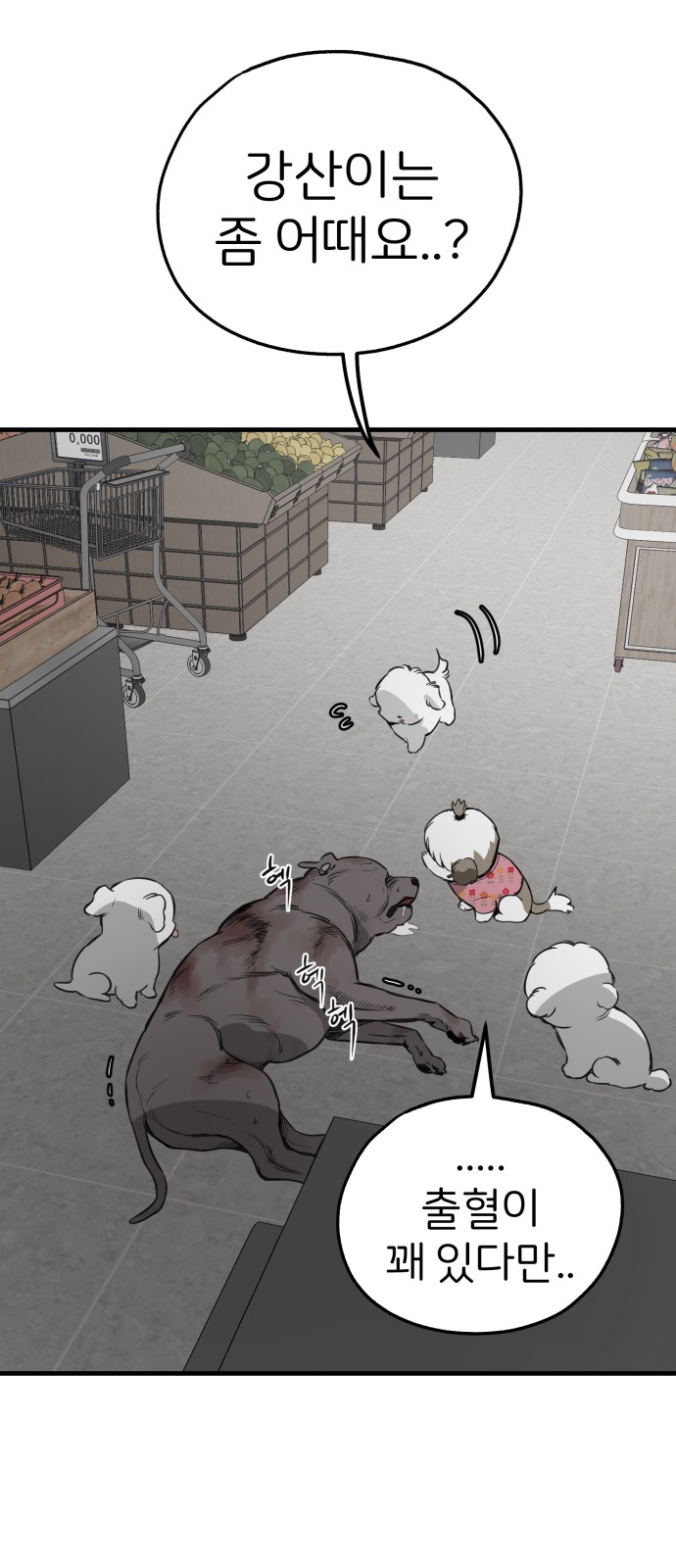 30 페이지
