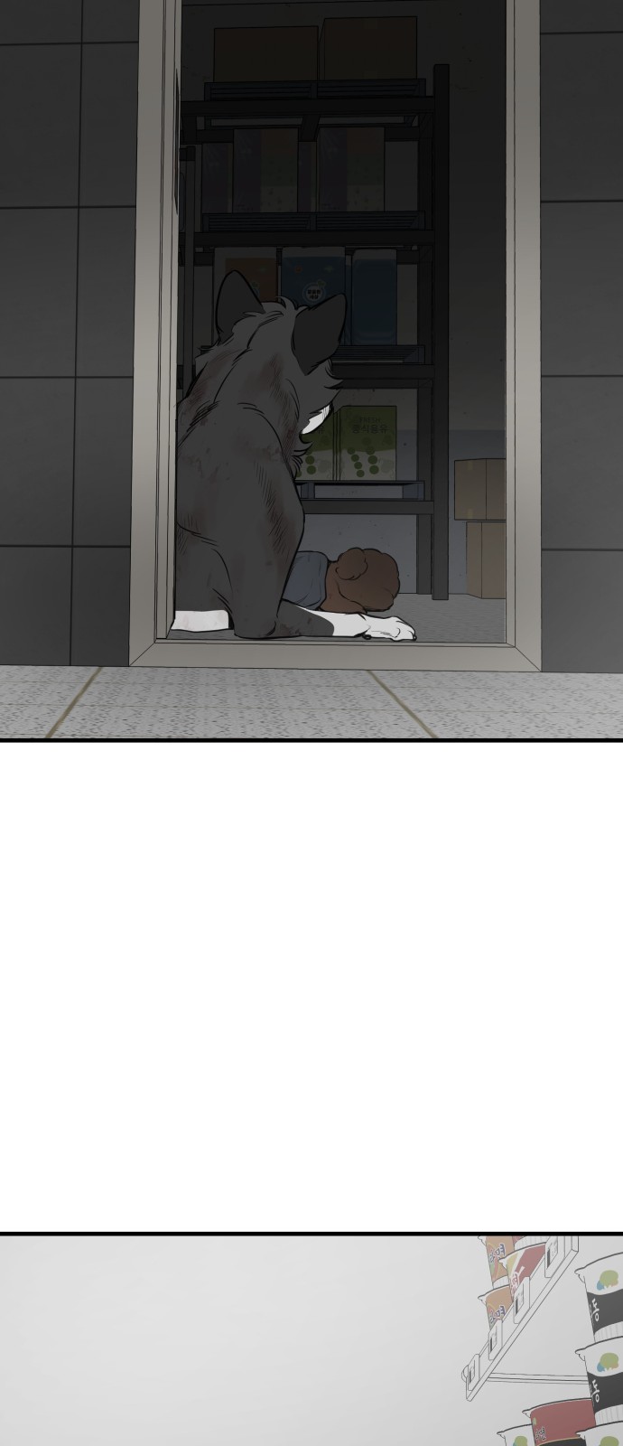 49 페이지