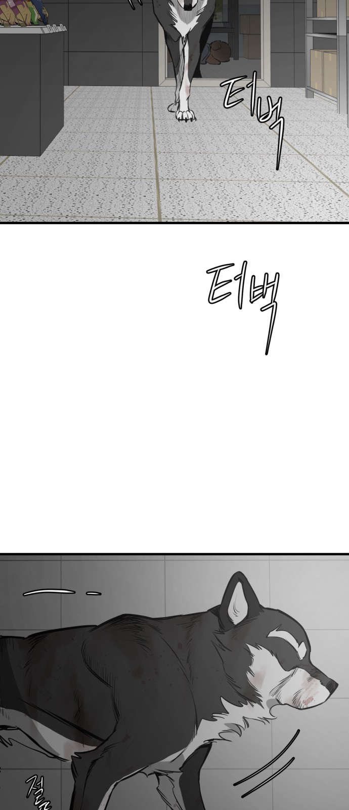 51 페이지