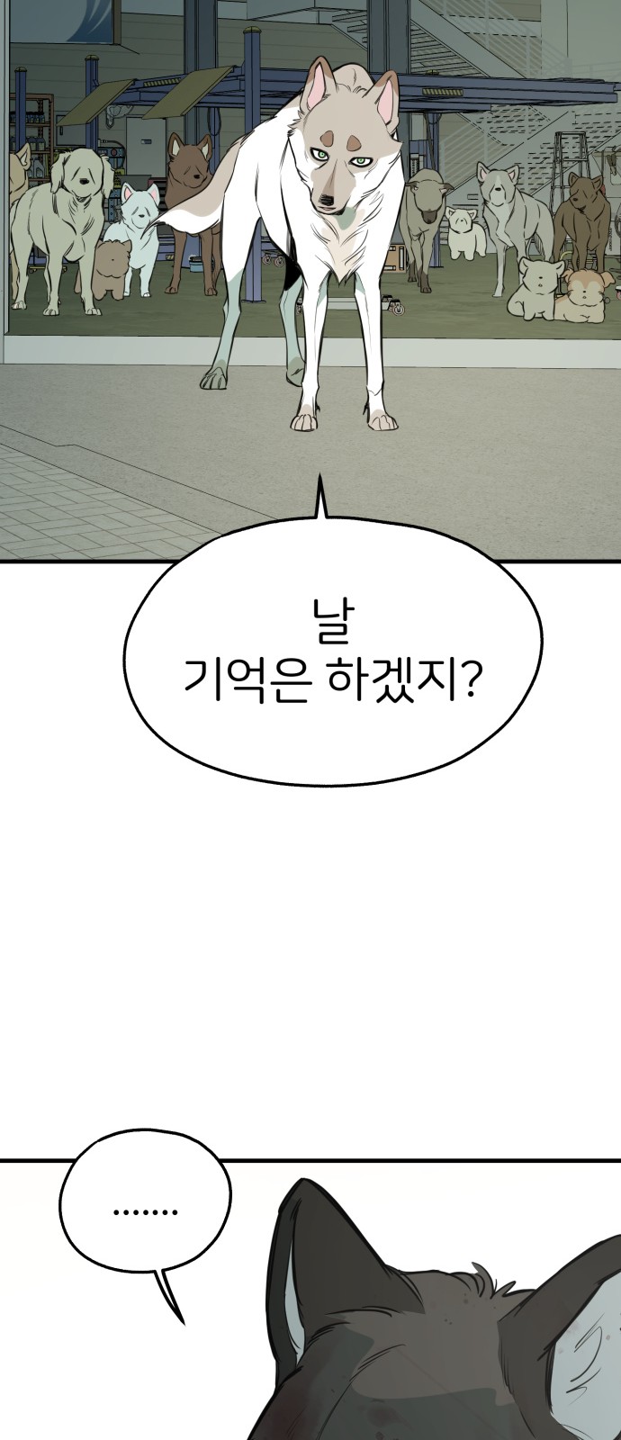 75 페이지