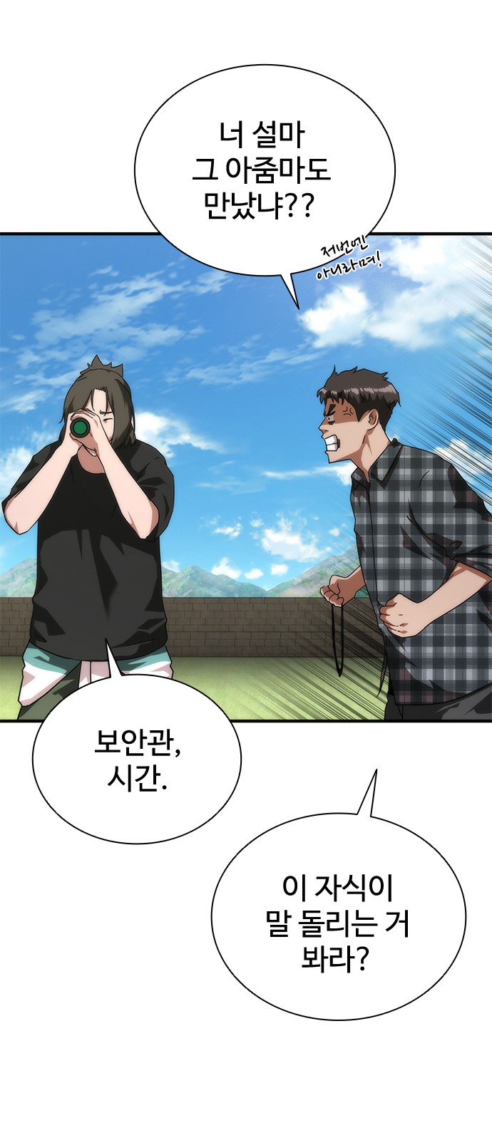 17 페이지