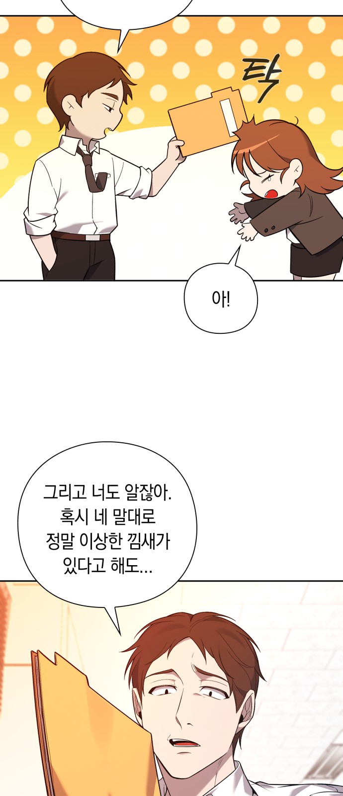 81 페이지