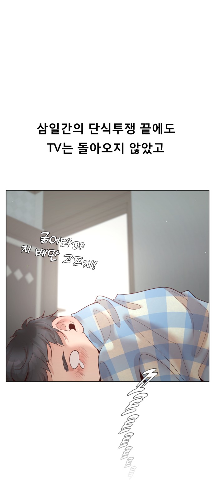 12 페이지