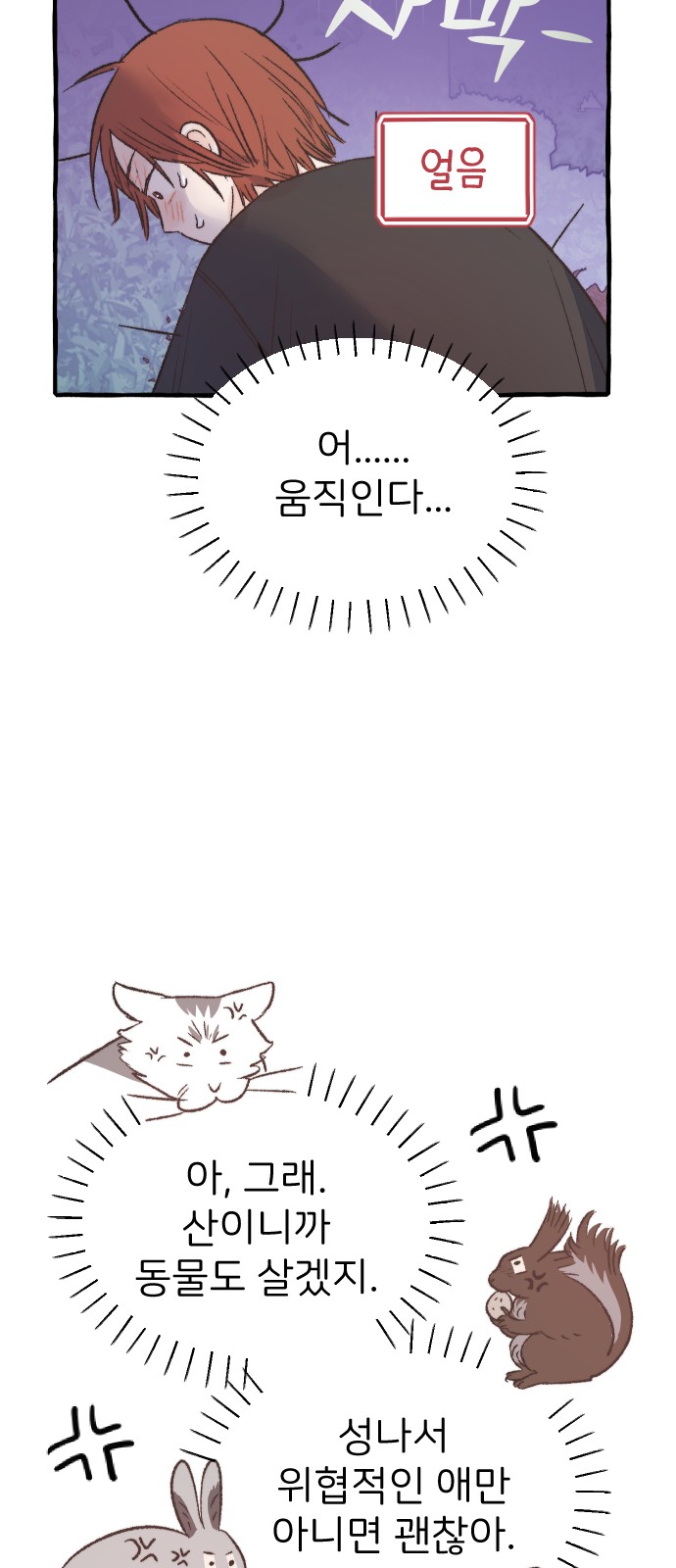 51 페이지