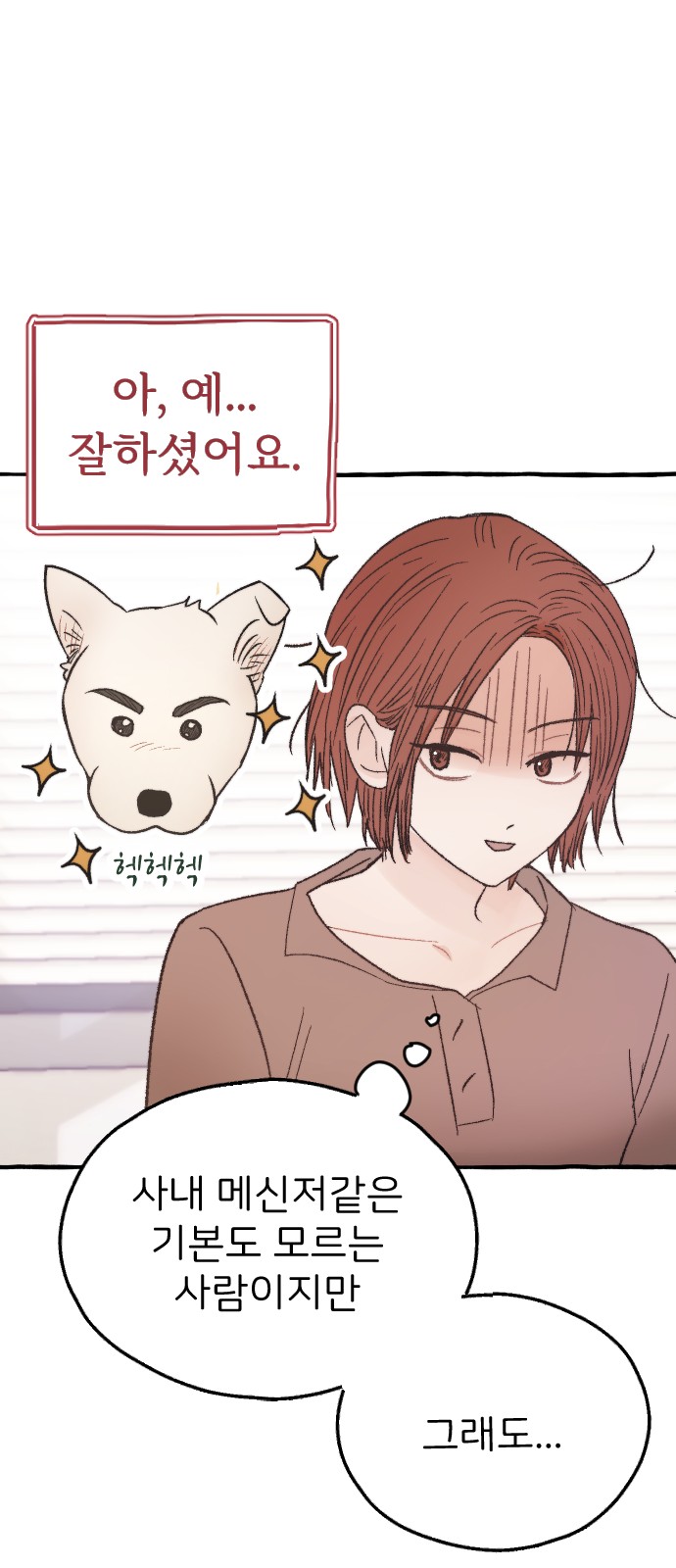 20 페이지