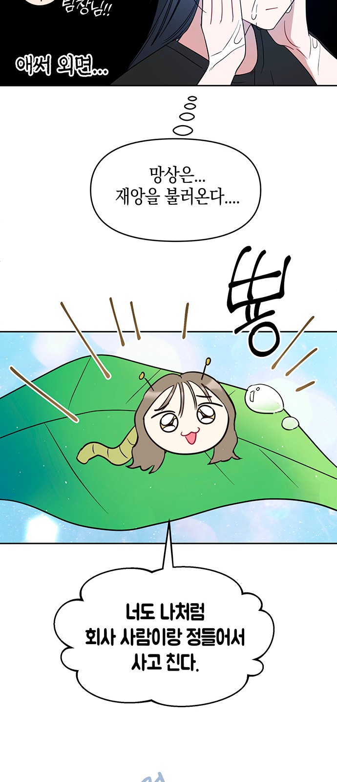 14 페이지