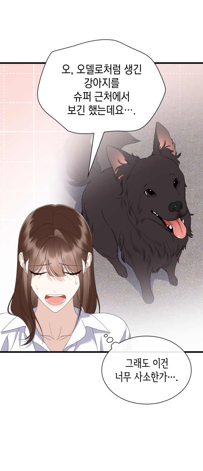20 페이지